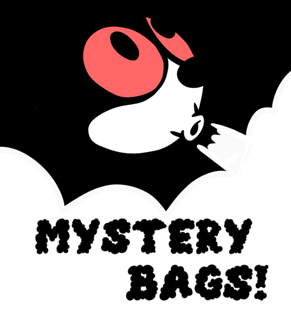 Mystery Bags!